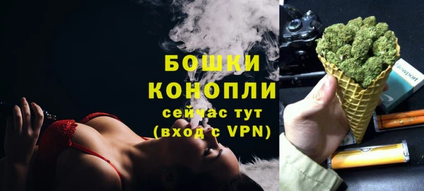 индика Остров