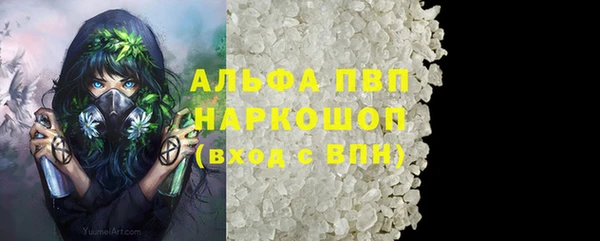 ПСИЛОЦИБИНОВЫЕ ГРИБЫ Яровое