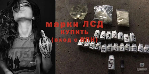 ПСИЛОЦИБИНОВЫЕ ГРИБЫ Осинники