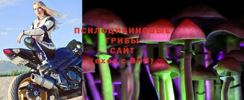 даркнет сайт  Баймак  KRAKEN ссылки  Псилоцибиновые грибы мухоморы 