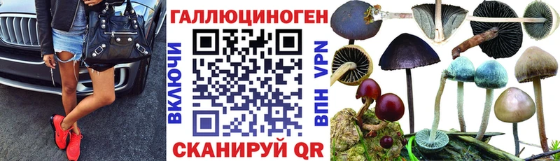 Псилоцибиновые грибы Psilocybine cubensis Баймак